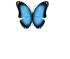 You can download free butterfly png images with transparent backgrounds from the largest collection on pngtree. Butterfly Butterfly Animated Gif Transparent