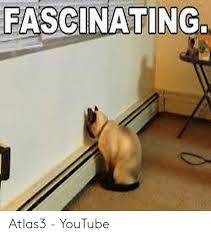 Your daily dose of fun! 25 Best Memes About Staring At The Wall Meme Staring At The Wall Memes
