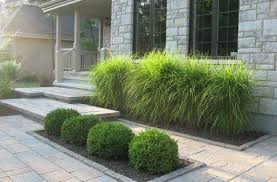 Epingle Sur Projet Fleur Dehors