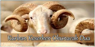 Kurban Keserken Okunacak Dua Dualar Burclar Hayvan