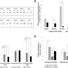 The food and drug administration claims pharmaceutical ingredients from china are safe. 83345 Pdfs Review Articles In Cancer Genetics