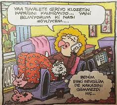 70 begenme 2 yorum instagram da ufuk y ufuk yangaz omergoksel kedi kedisahipleri karikatur karikatur penguen penguendergi uykusuz instagram