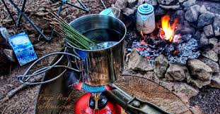 Pine needles are high in vitamin c and a among numerous other compounds which provide a long list of benefits: Pine Needle Tea Potential Antidote For Transmission Of Spike Protein