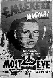 827 Ungar Stock Photos, High-Res Pictures, and Images