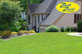 How To Seed A Zenith Zoysia Lawn