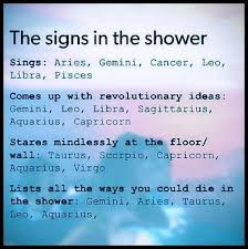 The Zodiac Signs In The Shower Zodiac Signs Gemini Zodiac Signs Aquarius Zodiac Signs Sagittarius