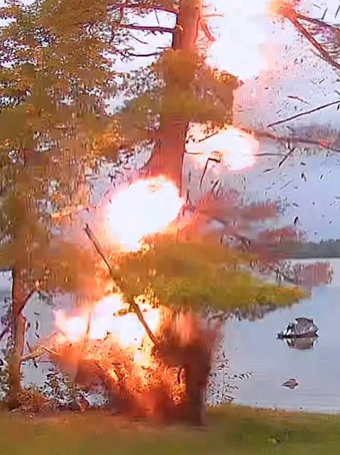 Watch debris fly as lightning sparks (literally) tree fire