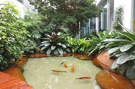 บ อเล ยงปลา ในปลาเล ยงปลาสวยงาม 008 vườn nhật hồ tự nhien vườn cảnh quan