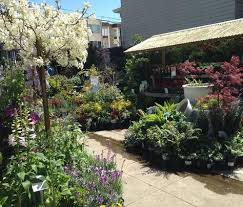Our 3rd Avenue Sf Store Is Absolutely Glowing On This Gorgeous Spring Day Sloatgardens Garden Gardening Gard Garden Center Garden Center Displays Garden