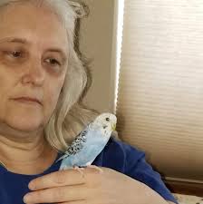 Trump shared a Truth Social post claiming that the former president had  been replaced with “robotic engineered soulless mindless entities.”