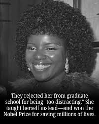 Norse Studies 101: A Journey Into Viking Minds #norsemythology #vikings  #historicalplug