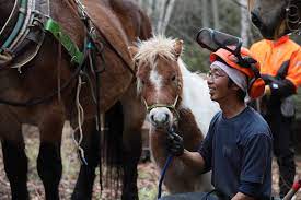 スキマ産業としての馬搬 | 未来授業 | これからの時代を生き抜くヒントを学ぶ特別授業