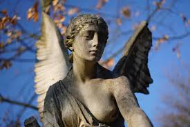 Find out how the two terms differ and what each entails. Conservatorship V Guardianship What Are They Andrew Ayers