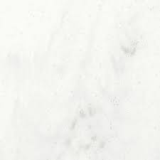 Image result for Aurora White 2010 HS