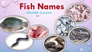 Pin On English And Tamil