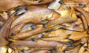 Скачать бесплатно mp3 kepala air. Anchovies Talk About Fish