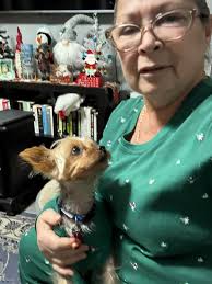 Hi all! I just wanted to introduce myself and share a photo I took