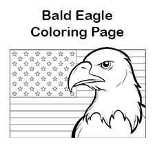 The ultimate hawaii activity book: Bald Eagle Coloring Page For Kids Patriotic Coloring Pages