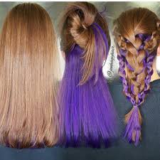 Purple Brown Hair Color Underneath In 2020 Hair Color Underneath Purple Underneath Hair Hidden Hair Color