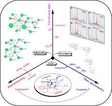 Image result for Strychnos gossweileri