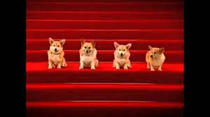 Tanti Auguri Da Abbaio Di Cani Youtube