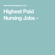 Highest Paid Nursing Jobs Nursing Jobs Travel Nursing Agencies Nurse Guide