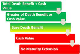 We did not find results for: The Risk Of Surviving To Policy Maturity What Trustees Need To Know Ric Omaha