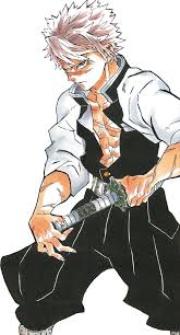 Free shipping free shipping free shipping. Sanemi Shinazugawa Kimetsu No Yaiba Wikia Fandom