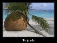 Takove velke hovno ta pisnička.mp3. Aj Tak Vies Iba VeÄ¾ke Hovno D Bratm Sk