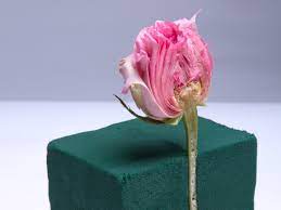 Check spelling or type a new query. Floral Foam Is Everywhere What Are The Alternatives