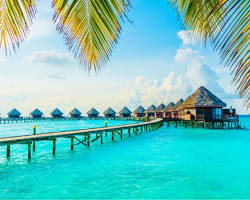 المالديف: إحدى الوجهات السياحية في يناينر 2024