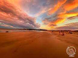 Swim, boogie board, play beach volleyball, and build sand castles in the summer. Best Beaches In Gloucester Ma Family Travel Magazine