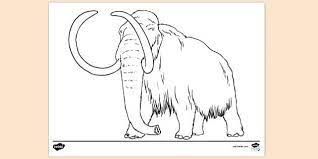 Yea just visit the hyperlink below and print away. Woolly Mammoth Colouring Colouring Sheets