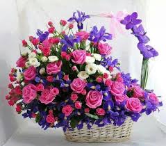 San Rafael De Heredia Arreglos Florales Creativos Bellos Arreglos Florales Arreglos Florales Modernos