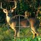 2nd ANNUAL HUNTING SEASON BINGO