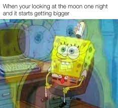 So This Is How It Ends Meme Meta Reddit Funny Humor R Memes