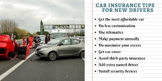 But on insurance unplugged, we are going to prove this wrong ! Does Car Insurance Cover Squirrel Damage Pestcare Jakarta