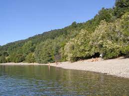 We did not find results for: Panguipulli