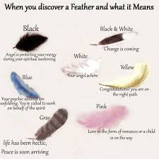 Feather Color Meanings Feather Color Meaning White Feather Tattoos Feather Magic
