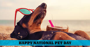 For me, a house or an apartment becomes a home when you add one set of four legs, a happy tail, and that indescribable measure of love that we call a dog. Happy National Pet Day April 11 2021 Lynnwood Times