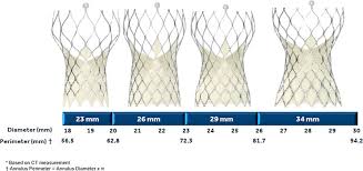 Corevalve Evolut R Size Selection According To Range Of