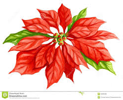 Pin By Miriam On Worksheet2you Watercolor Flowers Gouache Illustrations Poinsettia