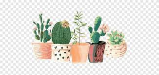 Draw two arms on either side of the stem. Five Succulent Plant Illustrations Cactaceae Art Succulent Plant Drawing Watercolor Painting Cactus Mural Png Pngegg