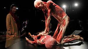 ローザンヌで人体標本展を中止 拷問死した中国人を使用か - SWI swissinfo.ch