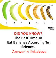 Check spelling or type a new query. When Is The Best Time To Eat A Banana Quora