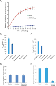 Hrenalase1 S Physiological Substrates Epinephrine And L Dopa A Download Scientific Diagram