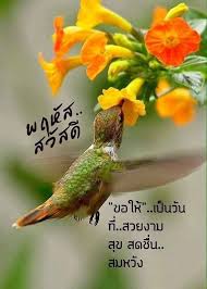 ป กพ นโดย pharat ใน สว สด ว นพฤห สบด ในป 2021 ส ขส นต ว นจ นทร ว นพฤห สบด สว สด