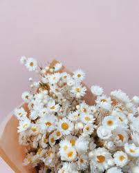 Chamomile tea is an herbal infusion made from dried flowers and hot water.3 two chamomile has historically been used in making beer and ale.10 unlike for tea, in which only the flowers the main constituents of chamomile flowers are polyphenol compounds,8 including apigenin, quercetin. The Dried Flower Instagram Community Thursd