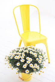 Yellow Tolix Lovely Sari Sandalye Tasarim