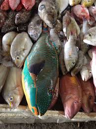 Fish Market Jimbaran Bali Jimbaran Bali Fish